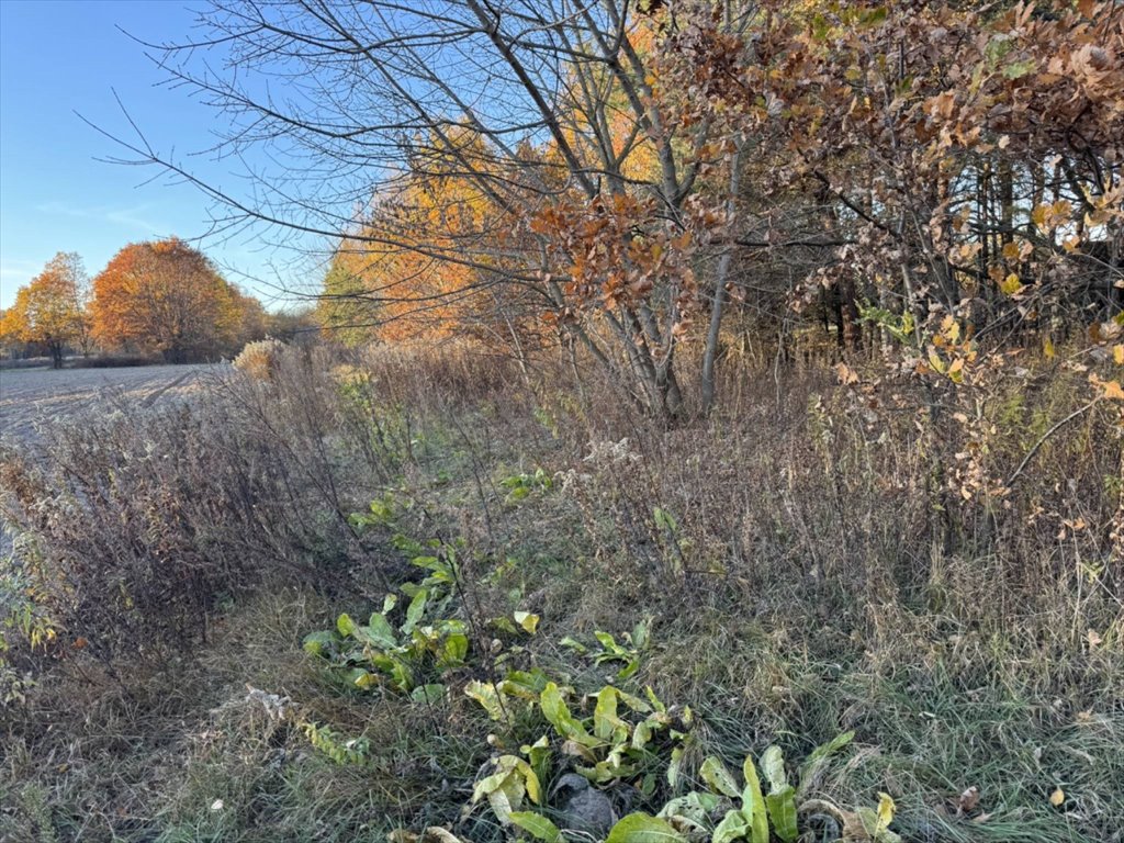 Działka budowlana na sprzedaż Konstancin-Jeziorna, Konstancin-Jeziorna  1 301m2 Foto 2