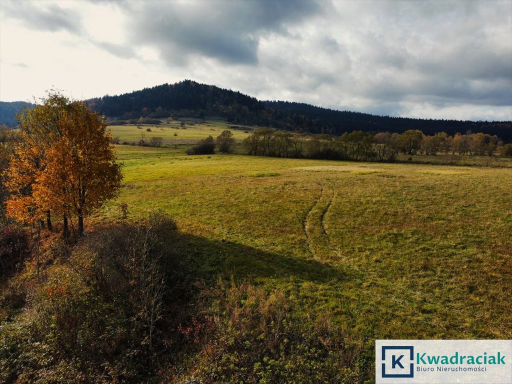 Działka rolna na sprzedaż Jaśliska  3 092m2 Foto 8