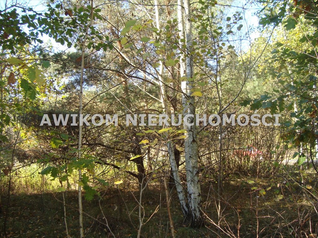 Działka budowlana na sprzedaż Żelechów  3 790m2 Foto 9