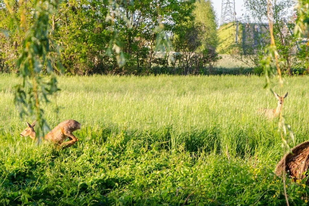 Dom na sprzedaż Lusowo  100m2 Foto 8