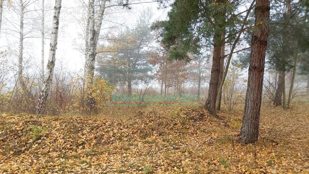 Unikatowa działka z stawami i lasem – Janinów, 21 811 m² Janinów  21 811m2 Foto 1