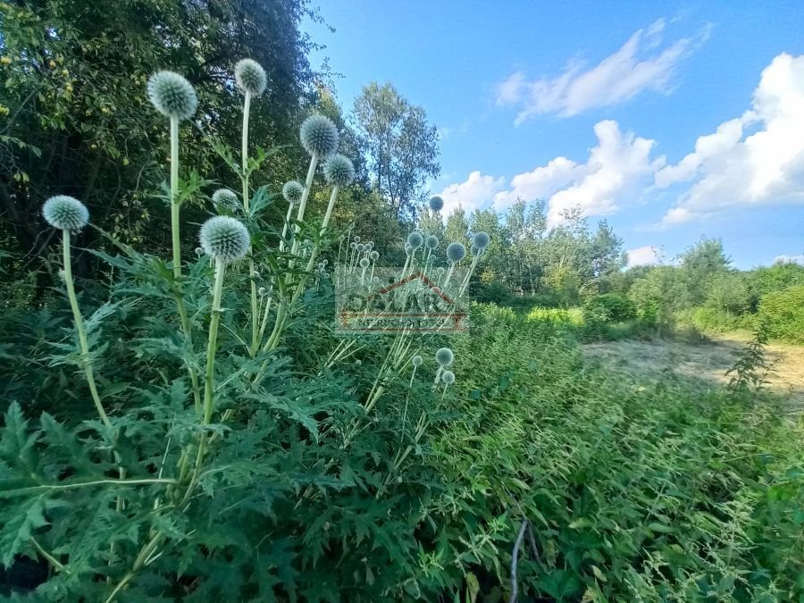 Działka rolna na sprzedaż Czersk, Tatary  18 200m2 Foto 6