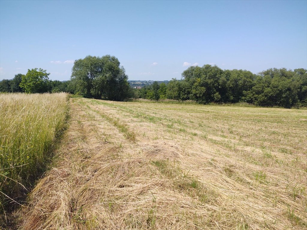 Działka budowlana na sprzedaż Bielsko-Biała, Stare Bielsko  6 722m2 Foto 3