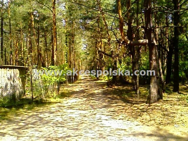Działka budowlana na sprzedaż Łosie 1 912m2 Foto 1 Działka budowlana na sprzedaż Łosie 1 912m2 Foto 1