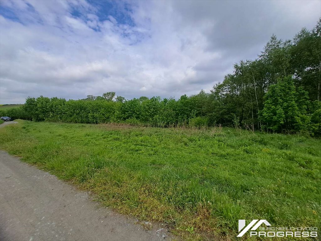 Zapraszam do zakupu działki 1611 m² z WZ pod zabudowę zagrodową Podniebyle  1 611m2 Foto 1