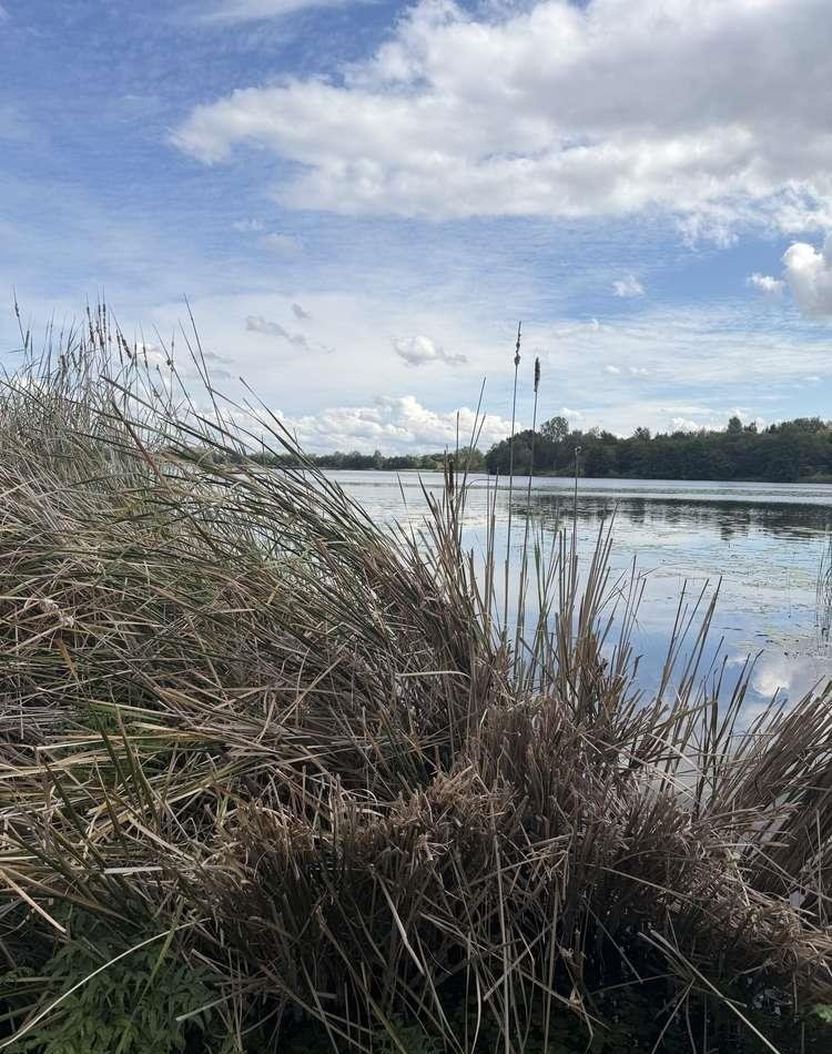 Działka 687 m² nad Narwią z dostępem do wody zapraszam: Klusek