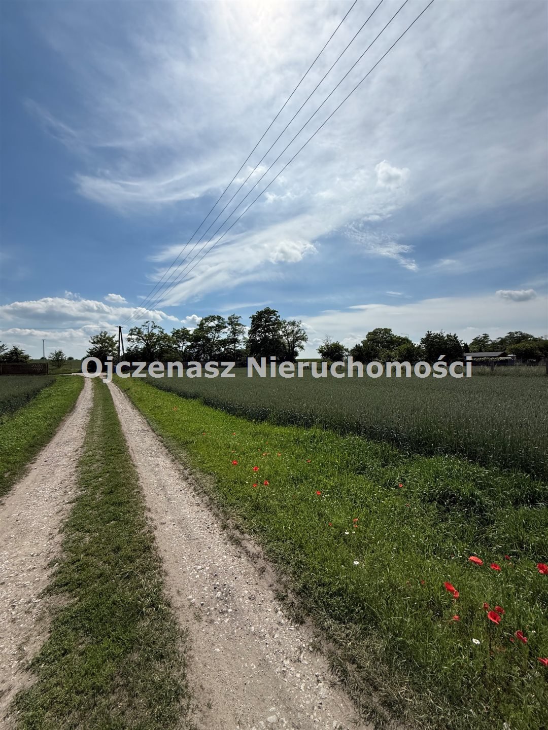 Zdjęcie 2
