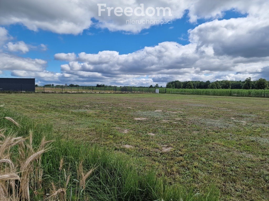 Działka budowlana na sprzedaż Grabanów-Kolonia  1 200m2 Foto 4