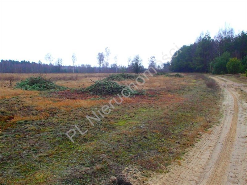 Działka rolna na sprzedaż Budy Przytockie 2 700m2 Foto 1 Działka rolna na sprzedaż Budy Przytockie 2 700m2 Foto 1