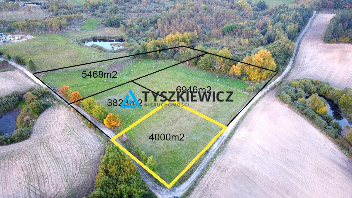 Działka siedliskowa na sprzedaż Olszanka, Malinowa  4 000m2 Foto 1