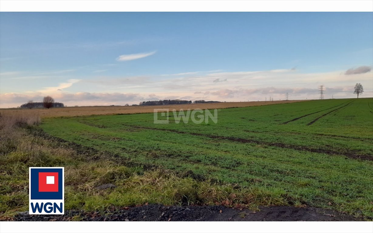 Działka budowlana na sprzedaż Krzeczyn Wielki, Krzeczyn Wielki  1 000m2 Foto 2