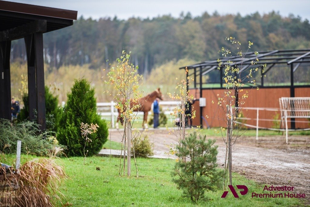 Działka i obiekty dla miłośników koni – 15 815 m2 z stajnią i halą Szamotuły  72 436m2 Foto 1