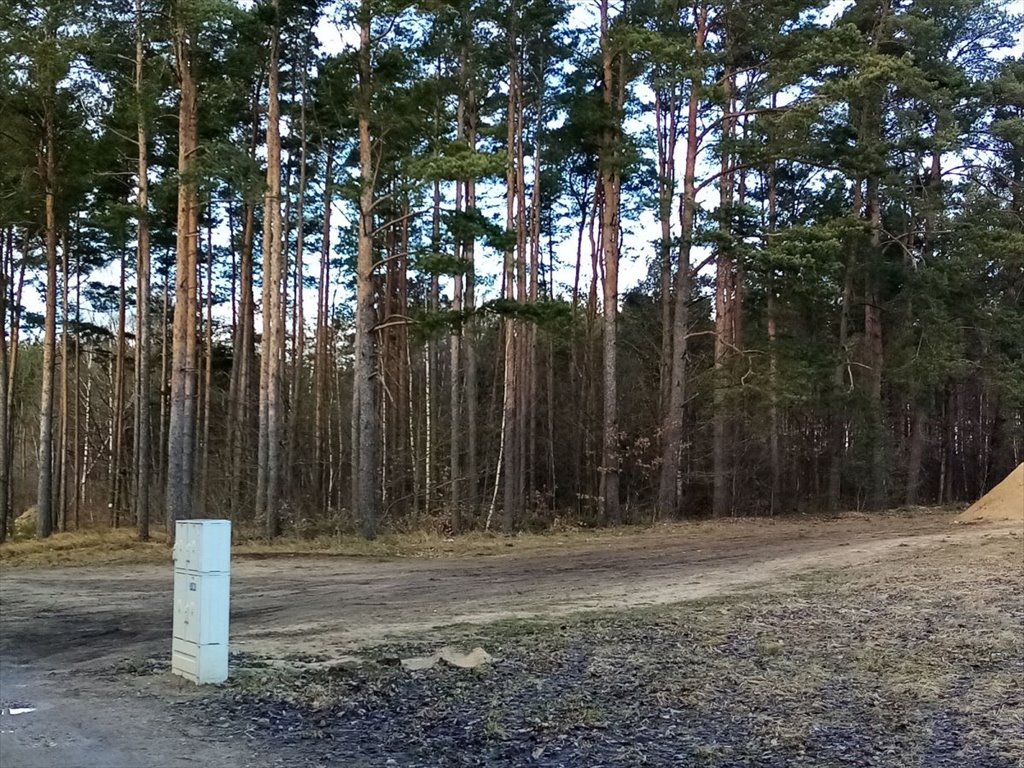 Działka budowlana na sprzedaż Kozińce  2 146m2 Foto 1