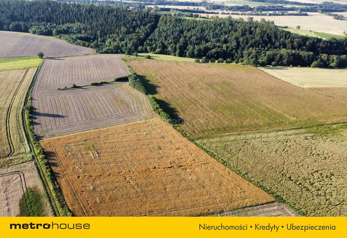 Działka inna na sprzedaż Stara Łomnica  5 000m2 Foto 3