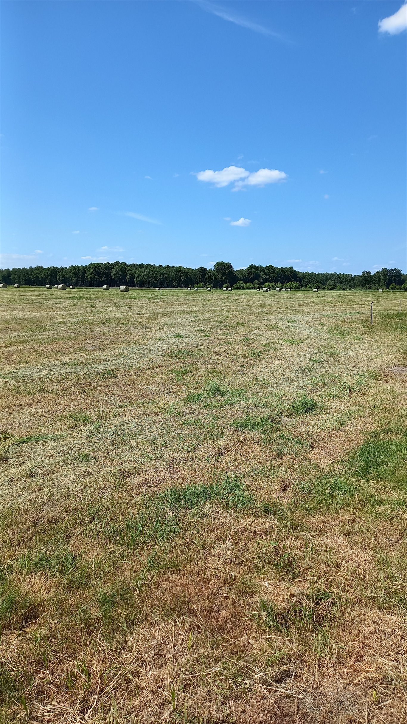 Działka budowlana na sprzedaż Rudziniec  860m2 Foto 3