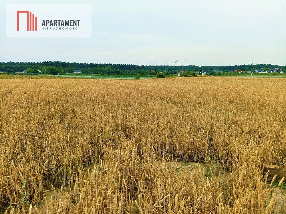 Działka budowlana na sprzedaż Osówiec  862m2 Foto 3