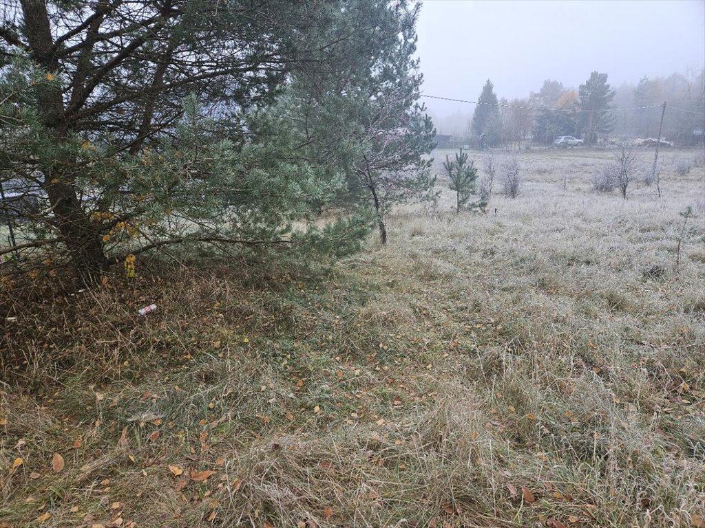 Działka rekreacyjna na sprzedaż Koczek  9 000m2 Foto 7