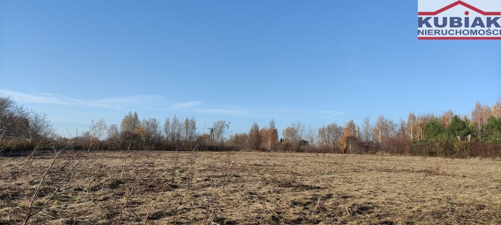 Działka budowlana na sprzedaż Krosna-Wieś  4 800m2 Foto 2