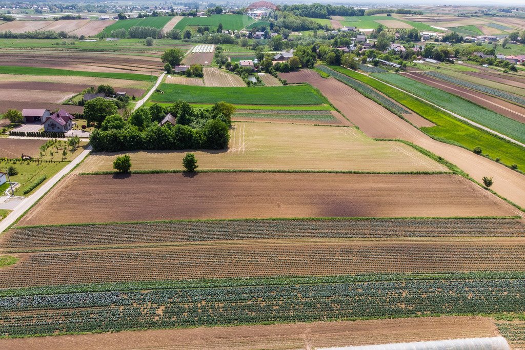 Działka budowlana na sprzedaż Stręgoborzyce  5 330m2 Foto 8