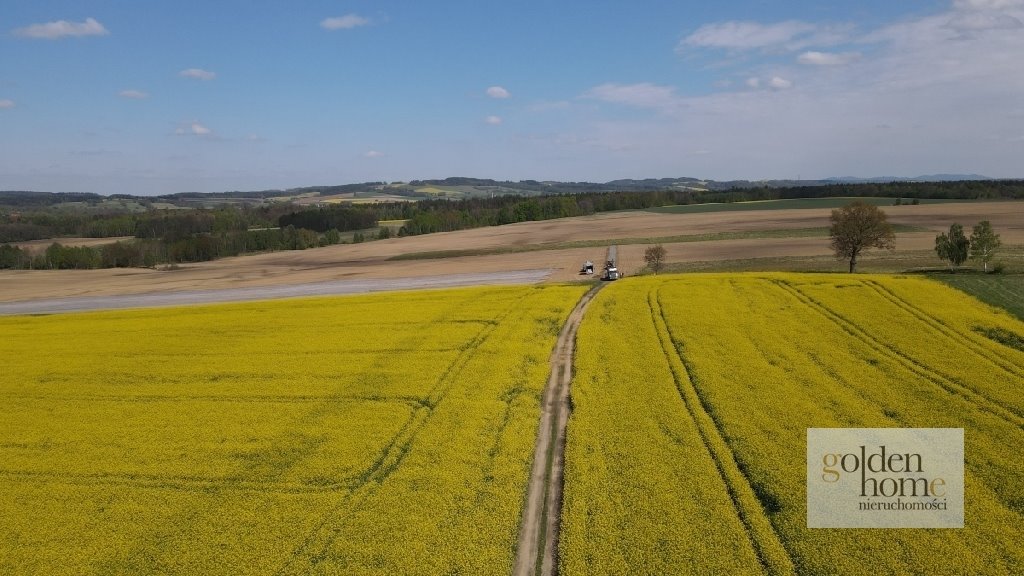 Działka budowlana na sprzedaż Gryfów Śląski, Krzewie Wielkie  1 336m2 Foto 12