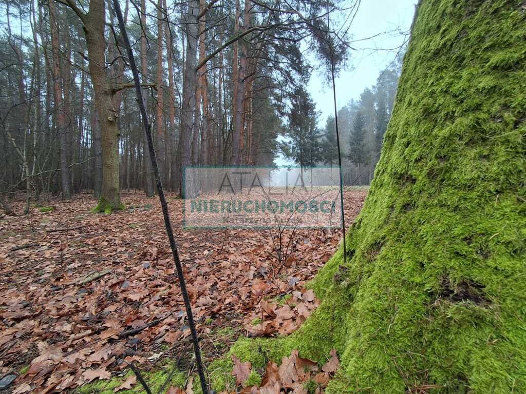 Działka 21 083 m² z MPZP, media, 15 lokali - polecam Nadarzyn  21 083m2 Foto 1