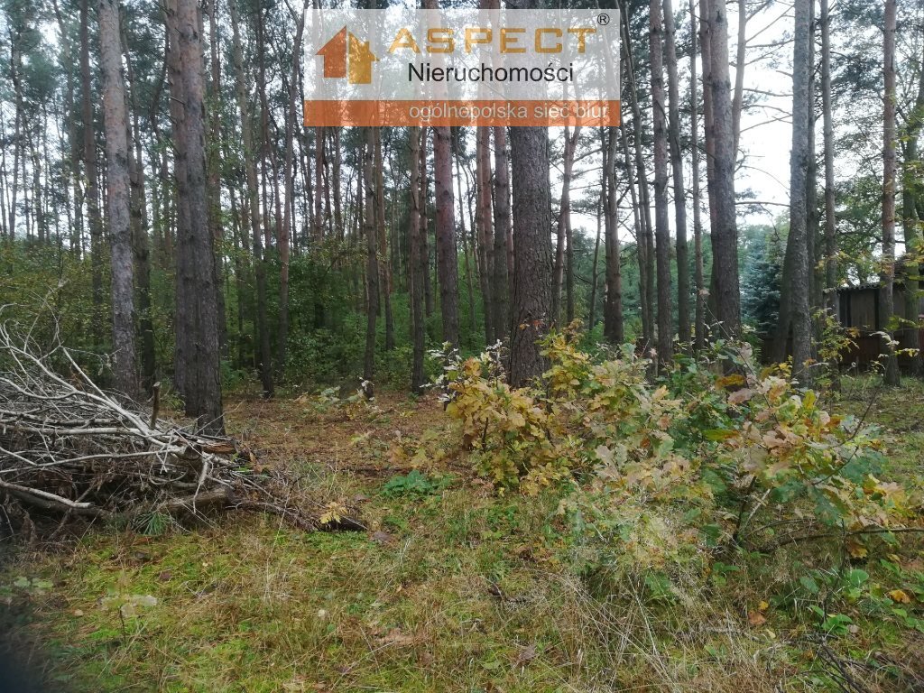 Działka leśna na sprzedaż Liszyno  1 740m2 Foto 6