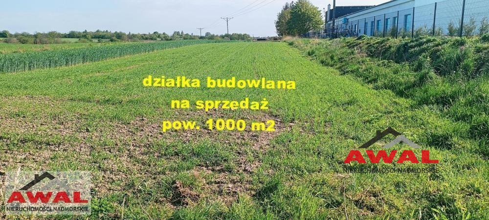 Działka budowlana na sprzedaż Żelistrzewo, Rzucewska  1 000m2 Foto 5