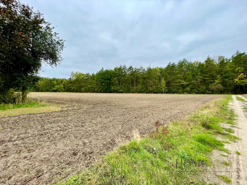 Działka budowlana na sprzedaż Strachówka  1 500m2 Foto 7