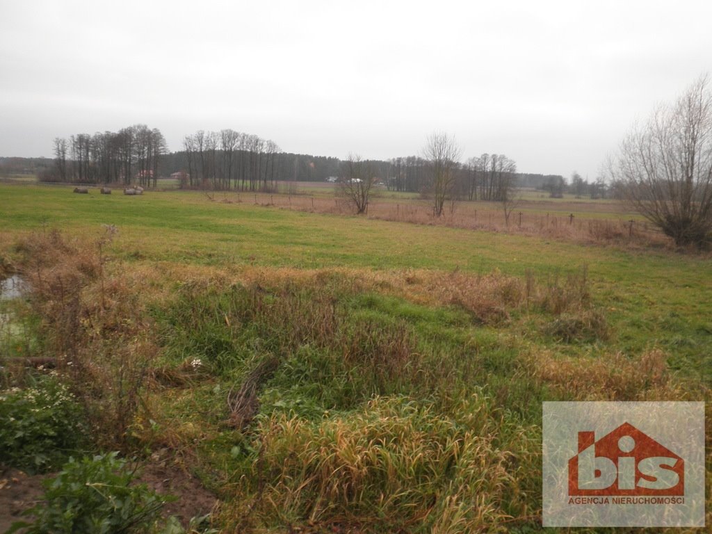 Działka rolna 11 700 m² w Trześciance – idealna pod inwestycję Trześcianka, Trześcianka  11 700m2 Foto 1