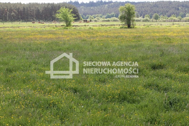 Działka budowlana na sprzedaż Lubowidz 1 066m2 Foto 1 Działka budowlana na sprzedaż Lubowidz 1 066m2 Foto 1