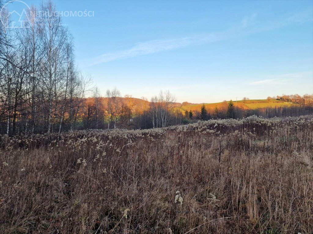 Działka budowlana na sprzedaż Gromnik  1 282m2 Foto 10