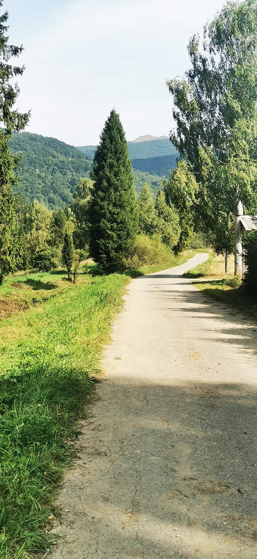 Działka budowlana na sprzedaż Kalnica, gm. Cisna, koło Wetliny  5 000m2 Foto 14