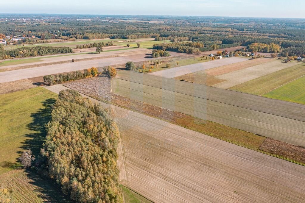 Działka budowlana na sprzedaż Krajęczyn  3 000m2 Foto 12