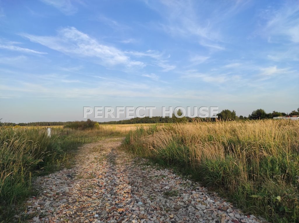 Działka budowlana na sprzedaż Rostworowo, Sobocka  800m2 Foto 7