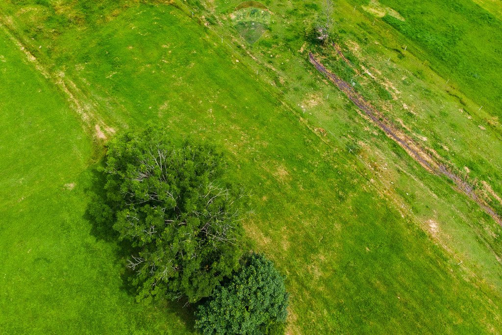 Działka budowlana na sprzedaż Sierockie  700m2 Foto 6