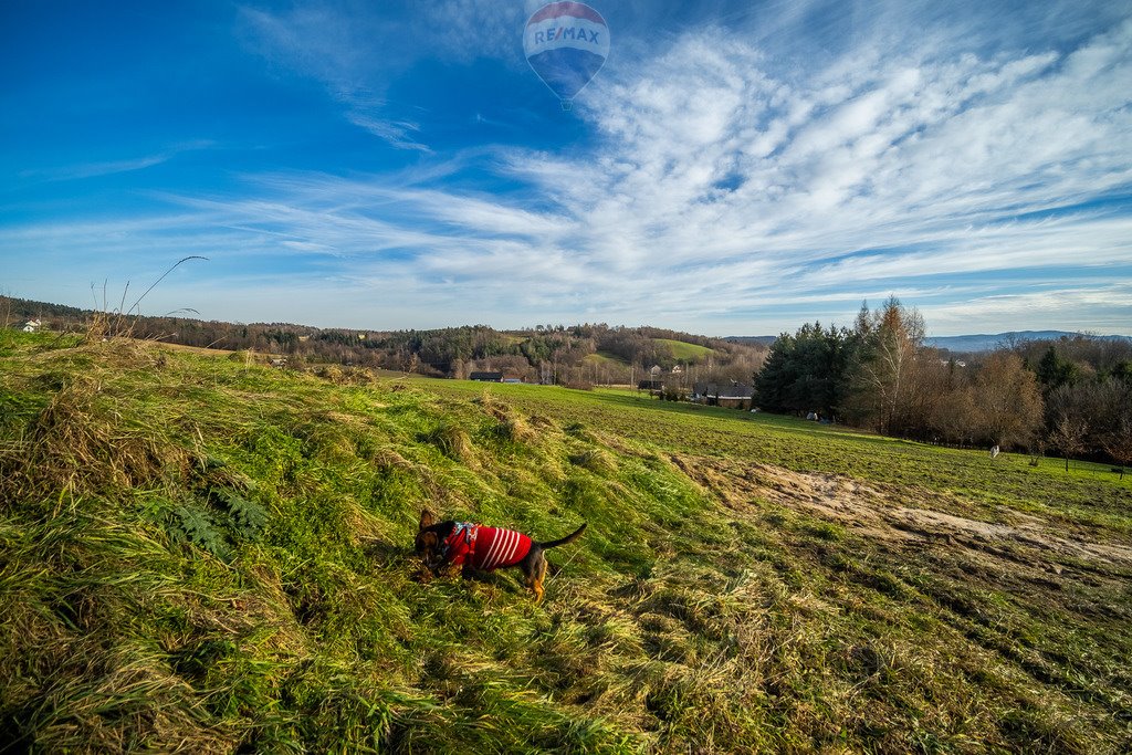 Działka budowlana na sprzedaż Kobylec  1 007m2 Foto 20