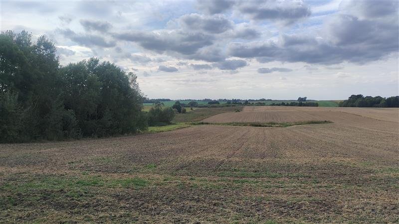 Działka siedliskowa na sprzedaż Lepno, Lepno  3 000m2 Foto 5