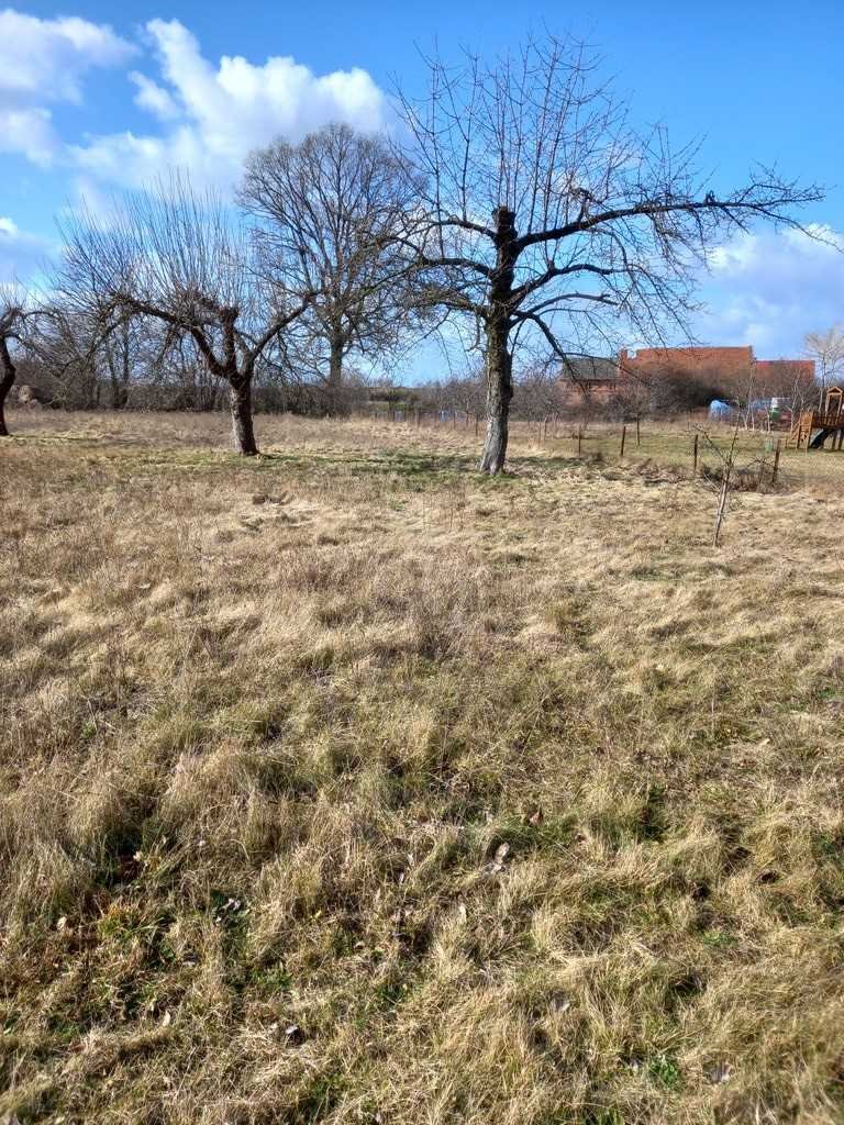 Działka inna na sprzedaż Ścinawa  3 000m2 Foto 4