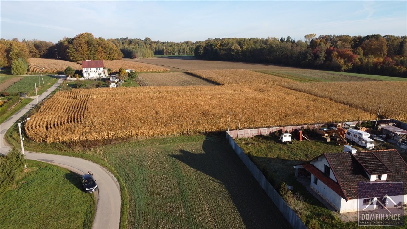 Działka budowlana na sprzedaż Morzychna  7 000m2 Foto 6