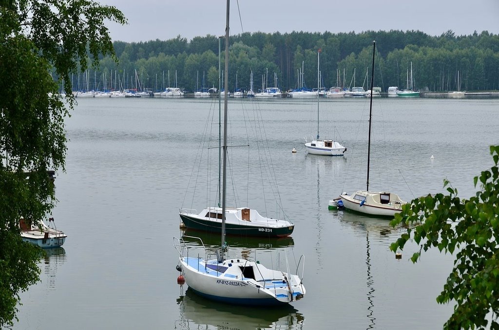 Działka budowlana na sprzedaż Koronowo, Pieczyska  1 016m2 Foto 5