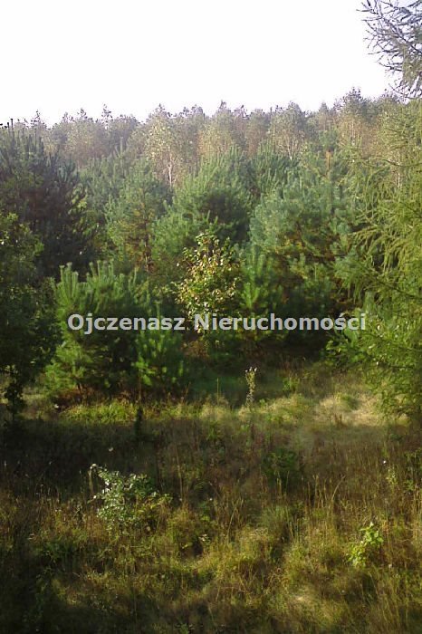 Lokal użytkowy na sprzedaż Zacisze  420m2 Foto 15