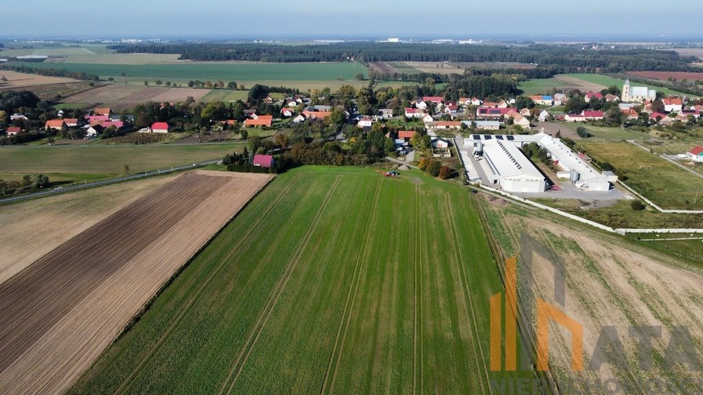 Działka budowlana na sprzedaż Kryniczno  12 400m2 Foto 6