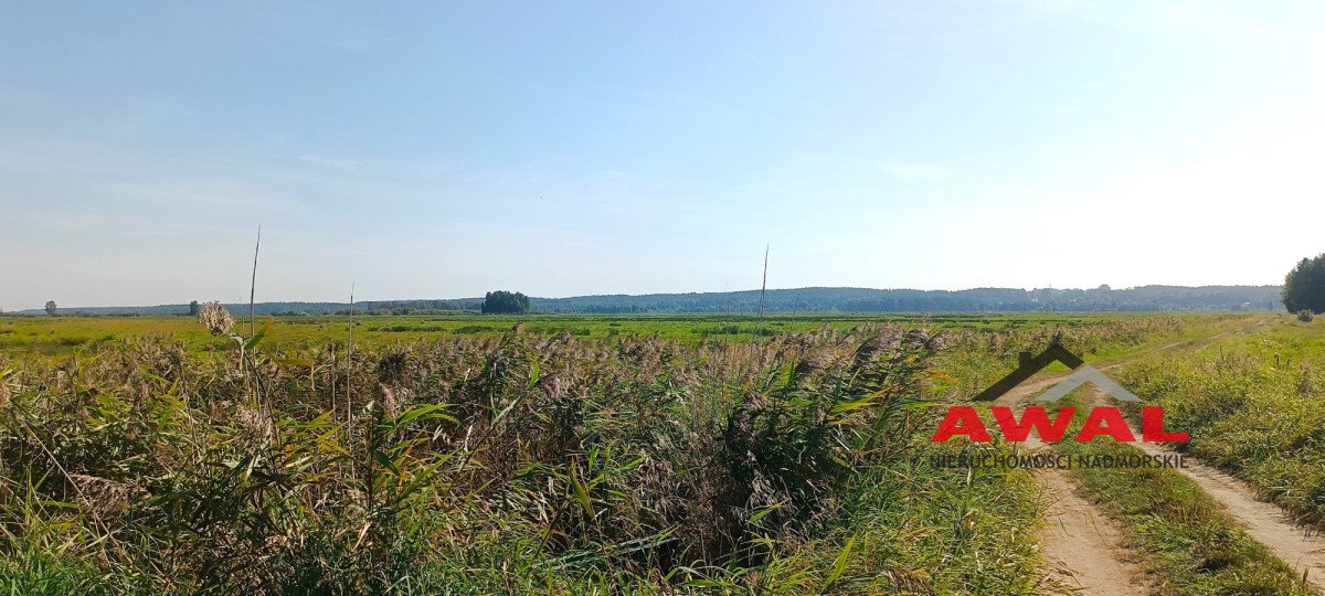 Działka gospodarstwo rolne na sprzedaż Karwieńskie Błoto Drugie  19 200m2 Foto 1