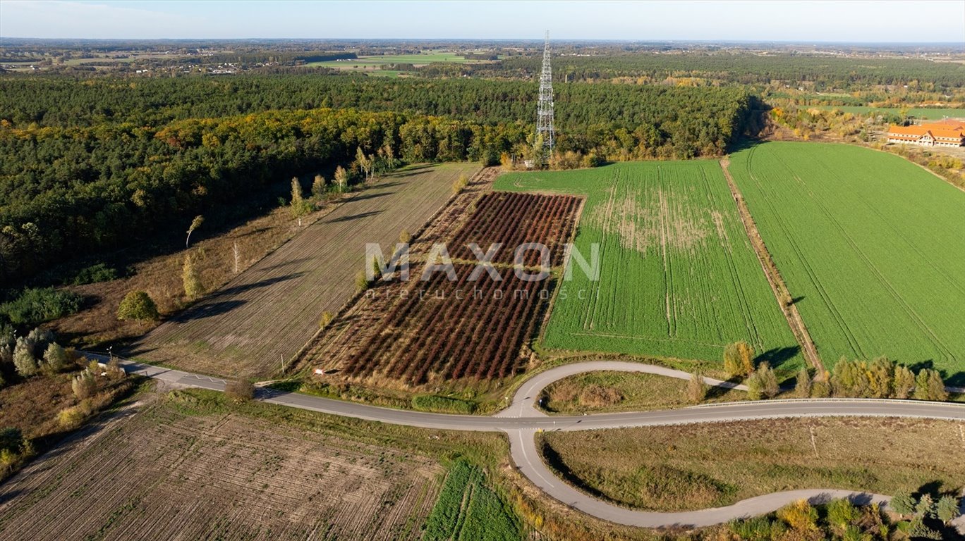 Działka budowlana na sprzedaż Wierzbica  17 887m2 Foto 12