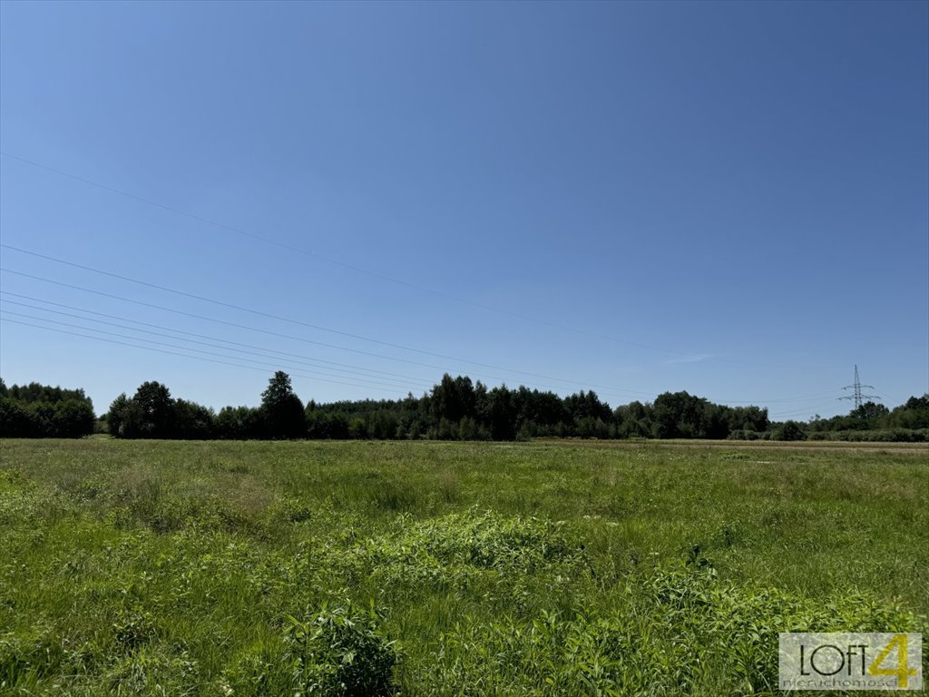 Działka budowlana na sprzedaż Rajsko  5 121m2 Foto 8