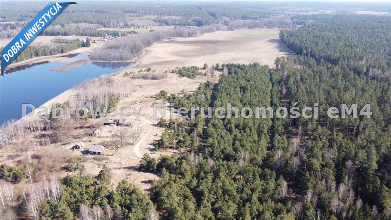 Działka rolna na sprzedaż Gródek  3 368m2 Foto 9