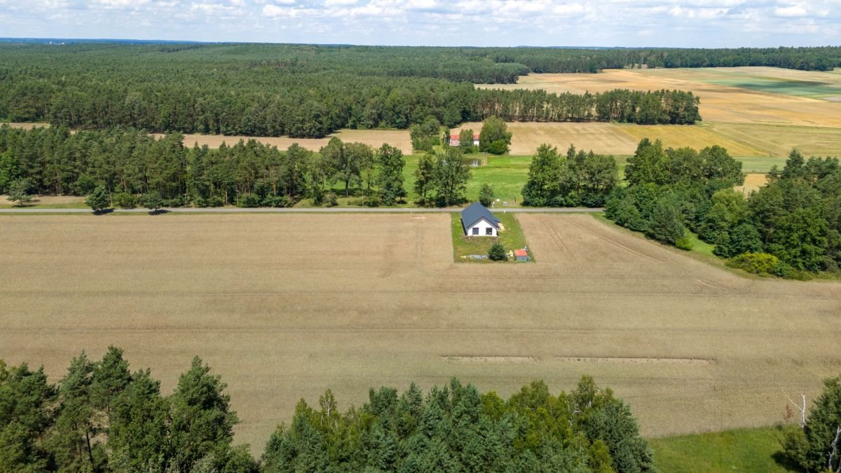 Działka budowlana na sprzedaż Zborowskie, Dolna  1 658m2 Foto 4