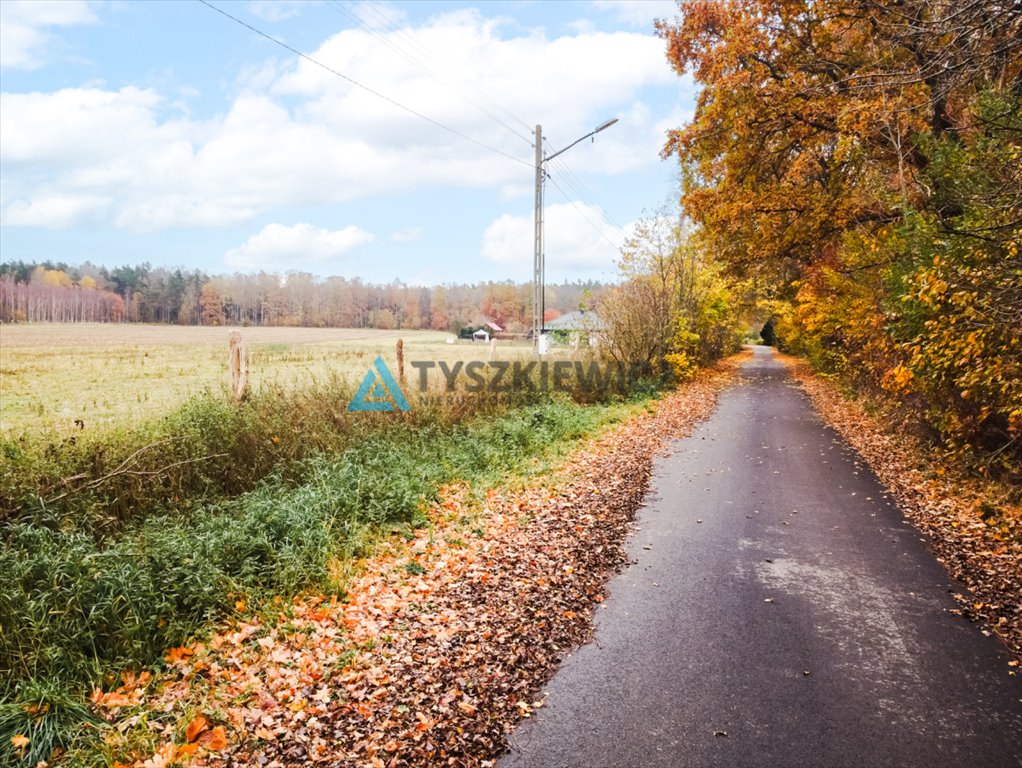 Działka siedliskowa na sprzedaż Szczenurze  3 428m2 Foto 8