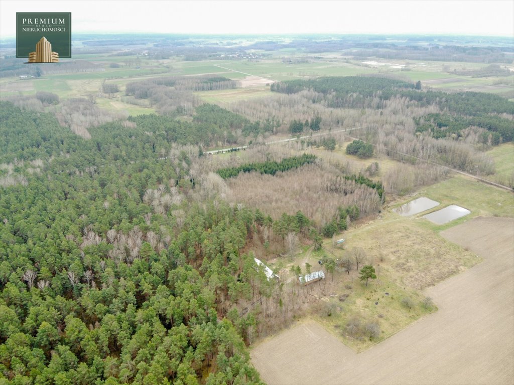 Działka siedliskowa na sprzedaż Koźliki  3 000m2 Foto 4