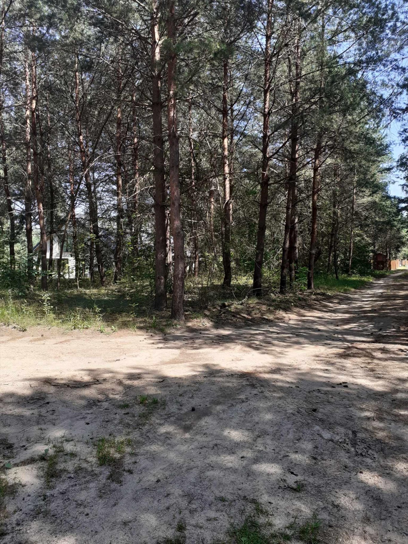 Działka budowlana na sprzedaż Pasym, Polna  1 390m2 Foto 2